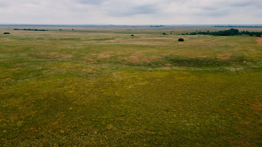 8 Bedroom Property for Sale in Bloemfontein Rural Free State